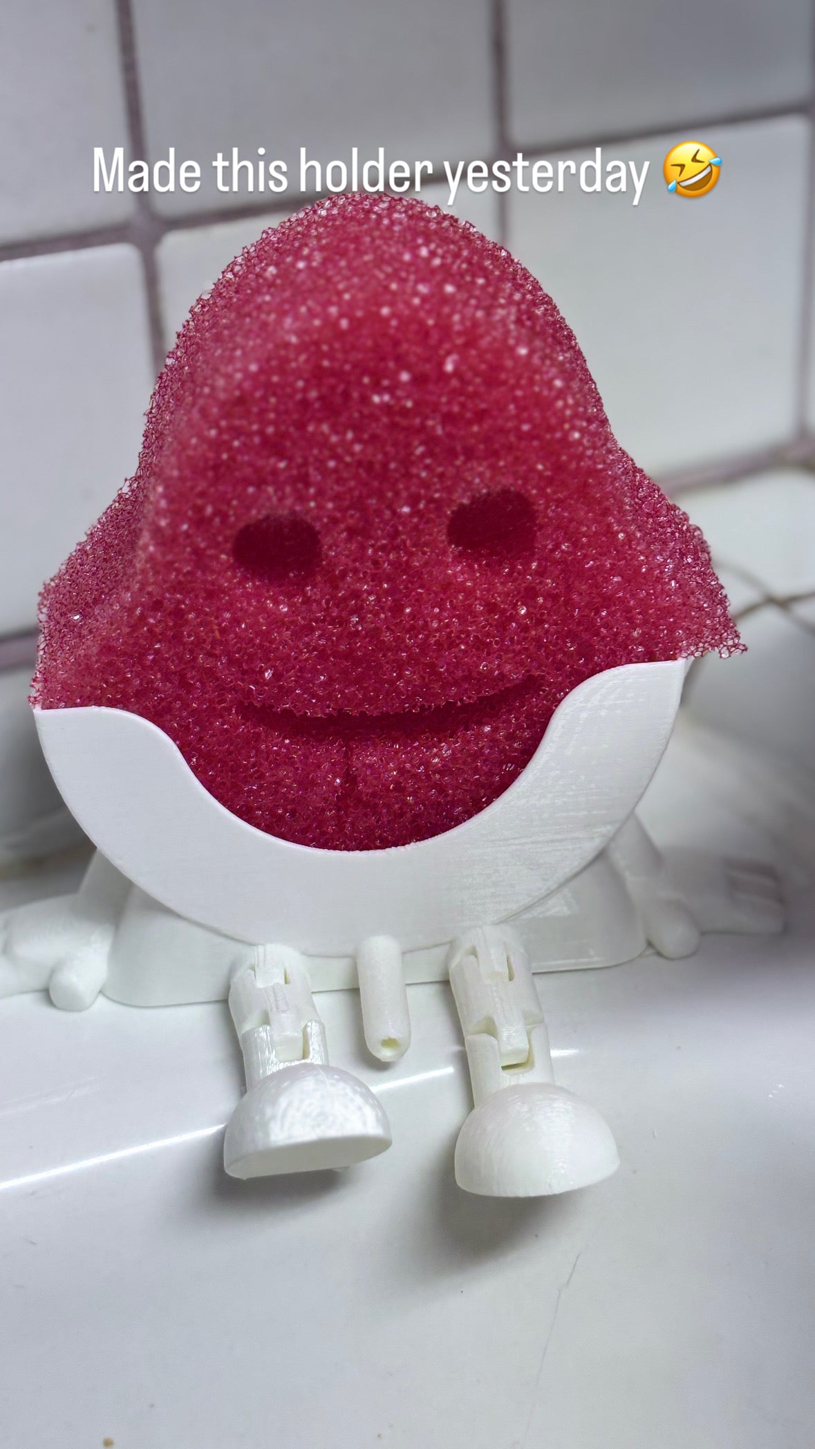 Scrub Daddy holders